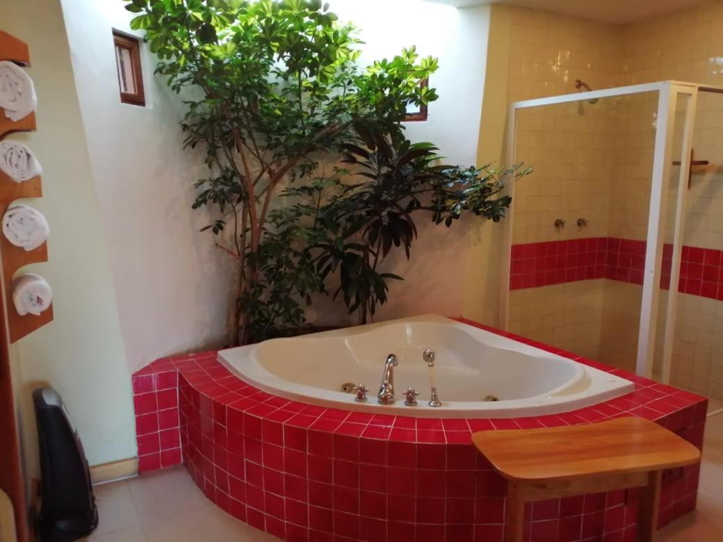 Casa Tsaya Hotel Boutique Бернал Екстериор снимка